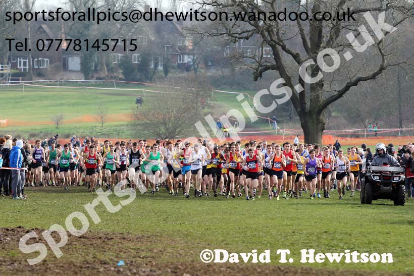Start of the of the senior mens Inter Counties Cross Country, Cofton Park, Birmingham. Photo: David T. Hewitson/Sports for All Pics